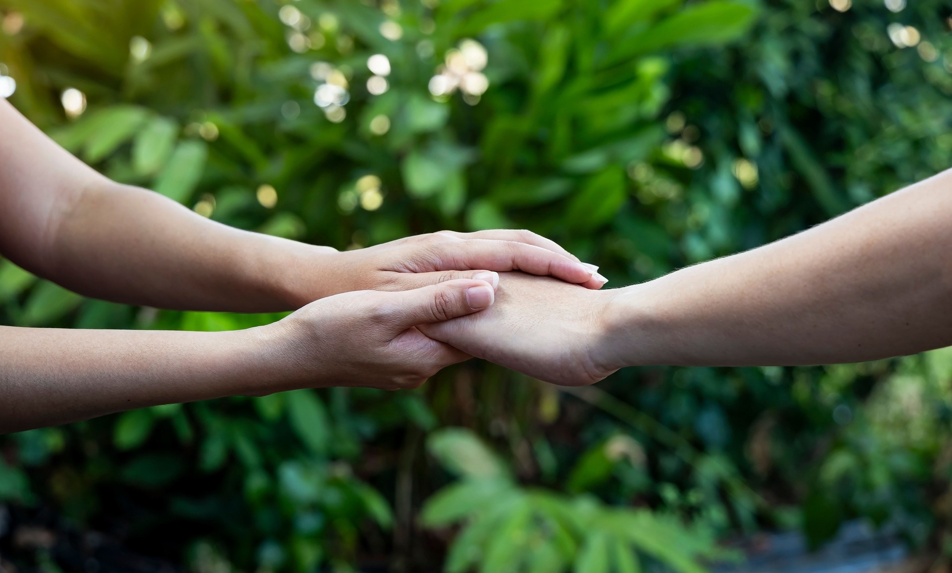 woman hand as lending a helping hand as trust together with compassion concept as lens flare scene at park